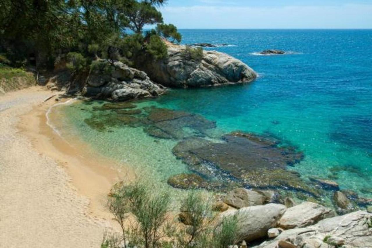 Hotel Hotel Serenity Platja D'Aro 3*